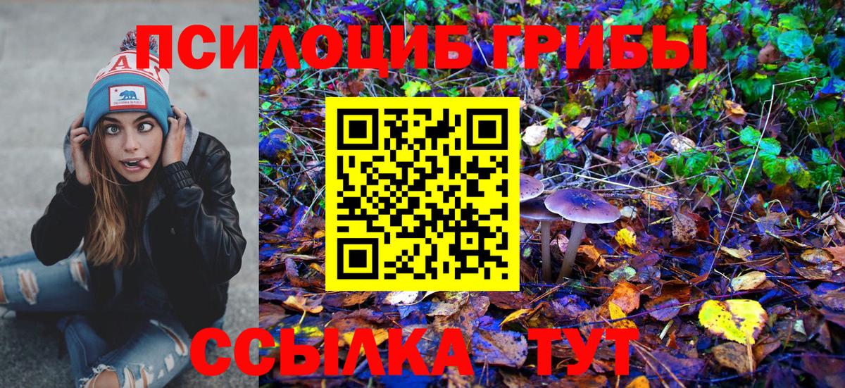 Псилоцибиновые грибы Cubensis  Вход с VPN  Протвино 