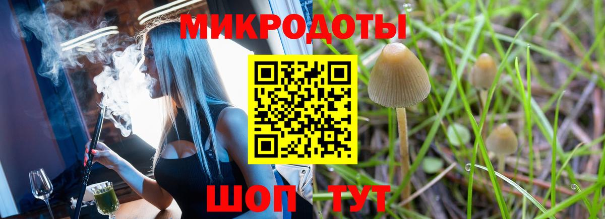 Галлюциногенные грибы ЛСД Протвино